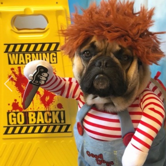 Chuck Halloween Costume for Dogs Size M - Picture 8 of 8
